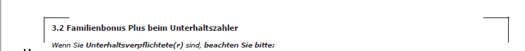 Familienbonusplus03