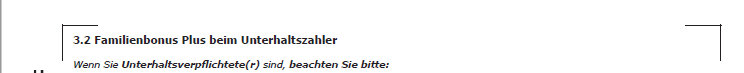 Familienbonusplus03